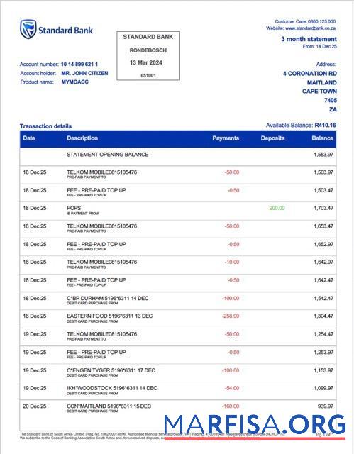 Printable South Africa Standard Bank Rondebosch bank statement word sample